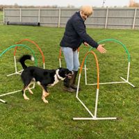 Stan and handler learning Hoopers