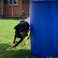 Alfie running a barrel at Hoopers