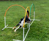 Stan on his own Hoopers rock